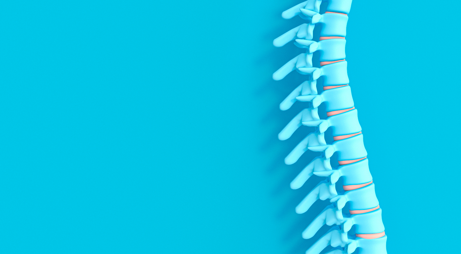 datos curiosos sobre la columna vertebral