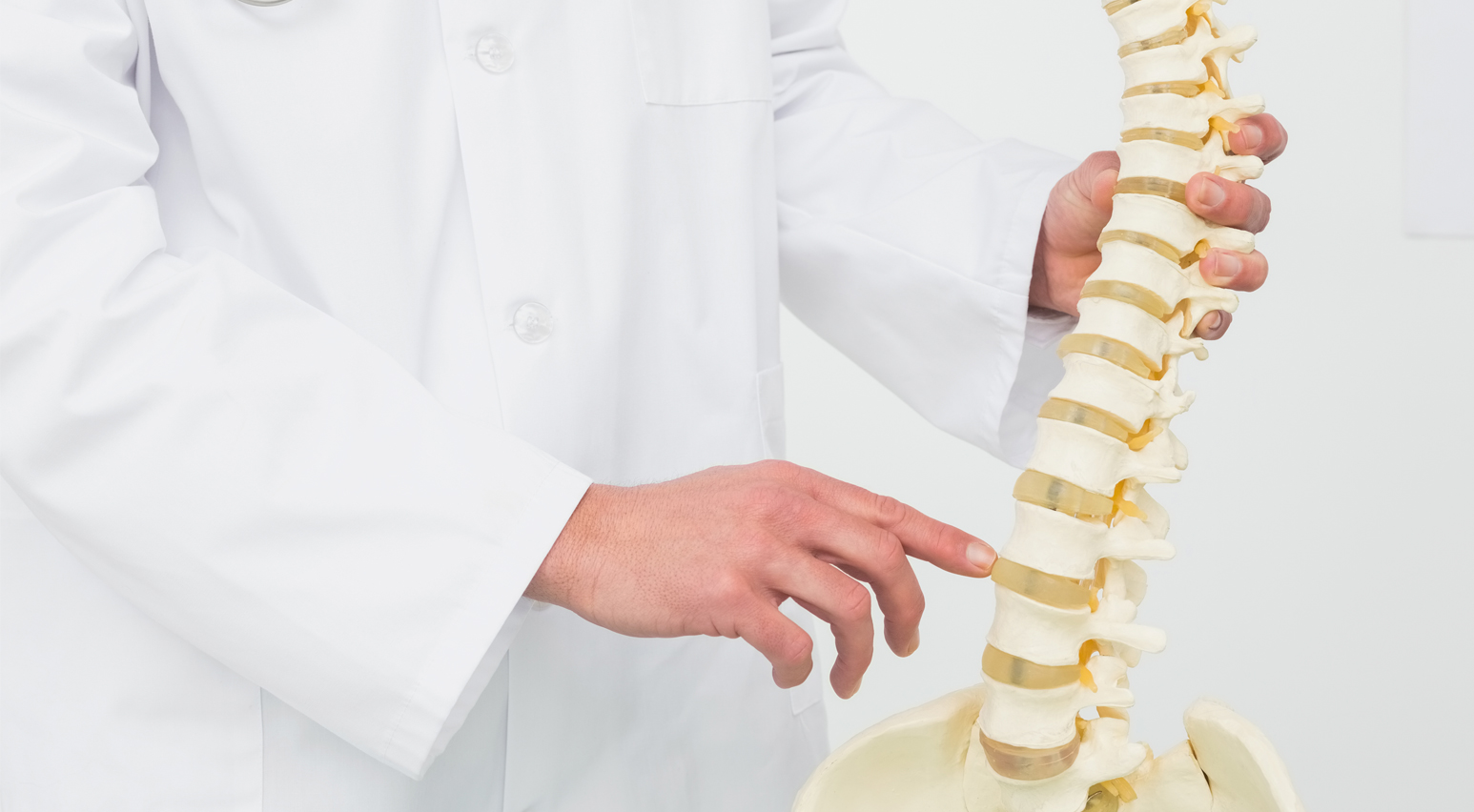 anatomía de la columna vertebral